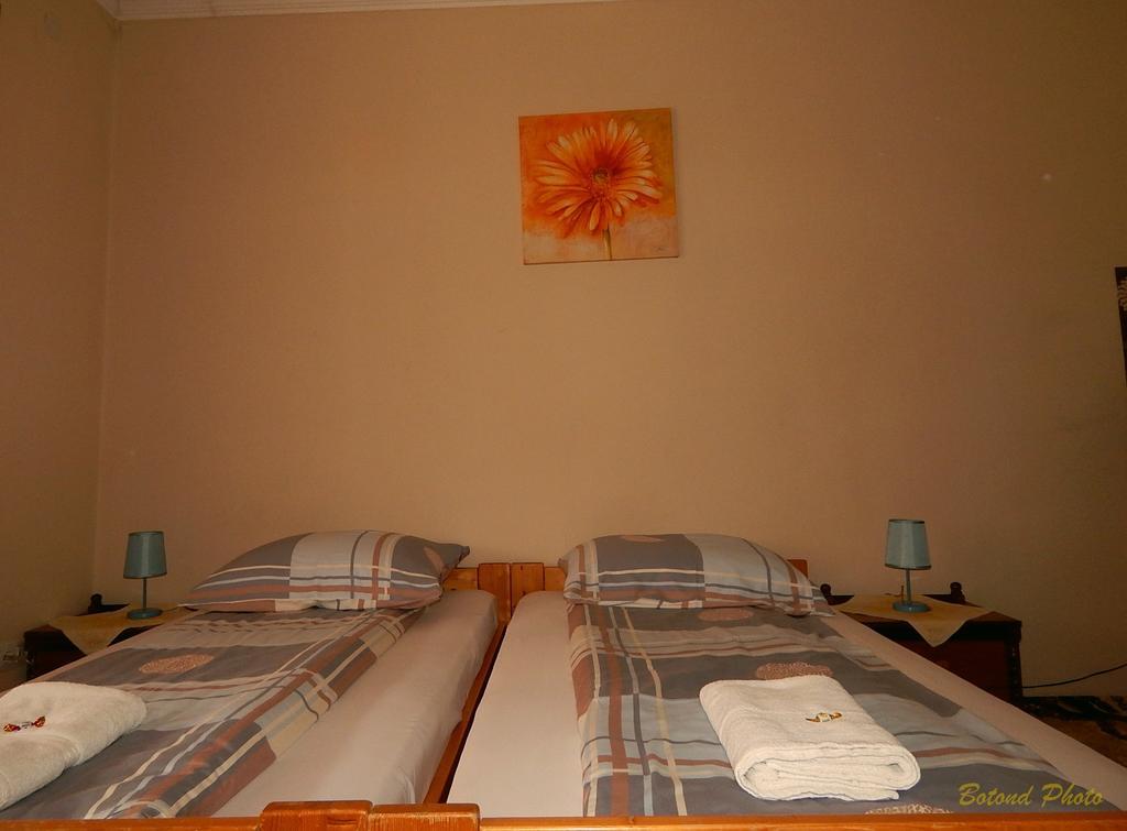 Hotel Sator-Hegy Vendeghaz Abaújszántó Exteriér fotografie